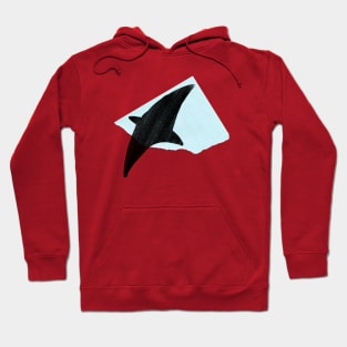 Bird in Flight Hoodie